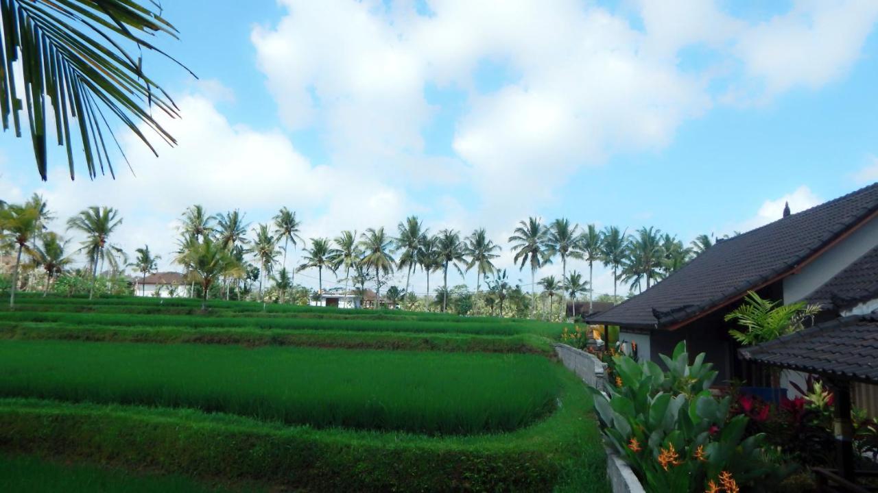 Amaya Cottage Ubud By Shm Exteriér fotografie