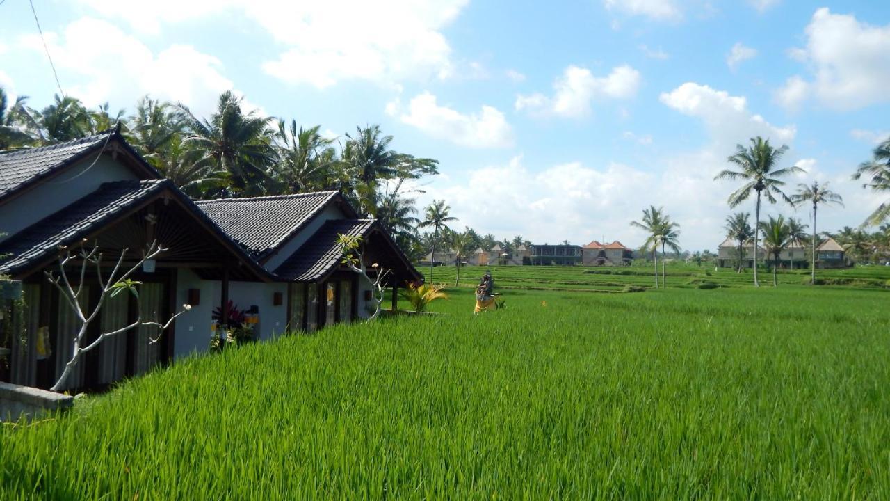 Amaya Cottage Ubud By Shm Exteriér fotografie