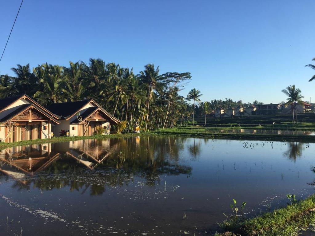 Amaya Cottage Ubud By Shm Exteriér fotografie